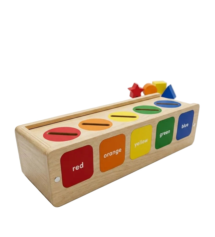 Sort-em-Out Sorting Toy