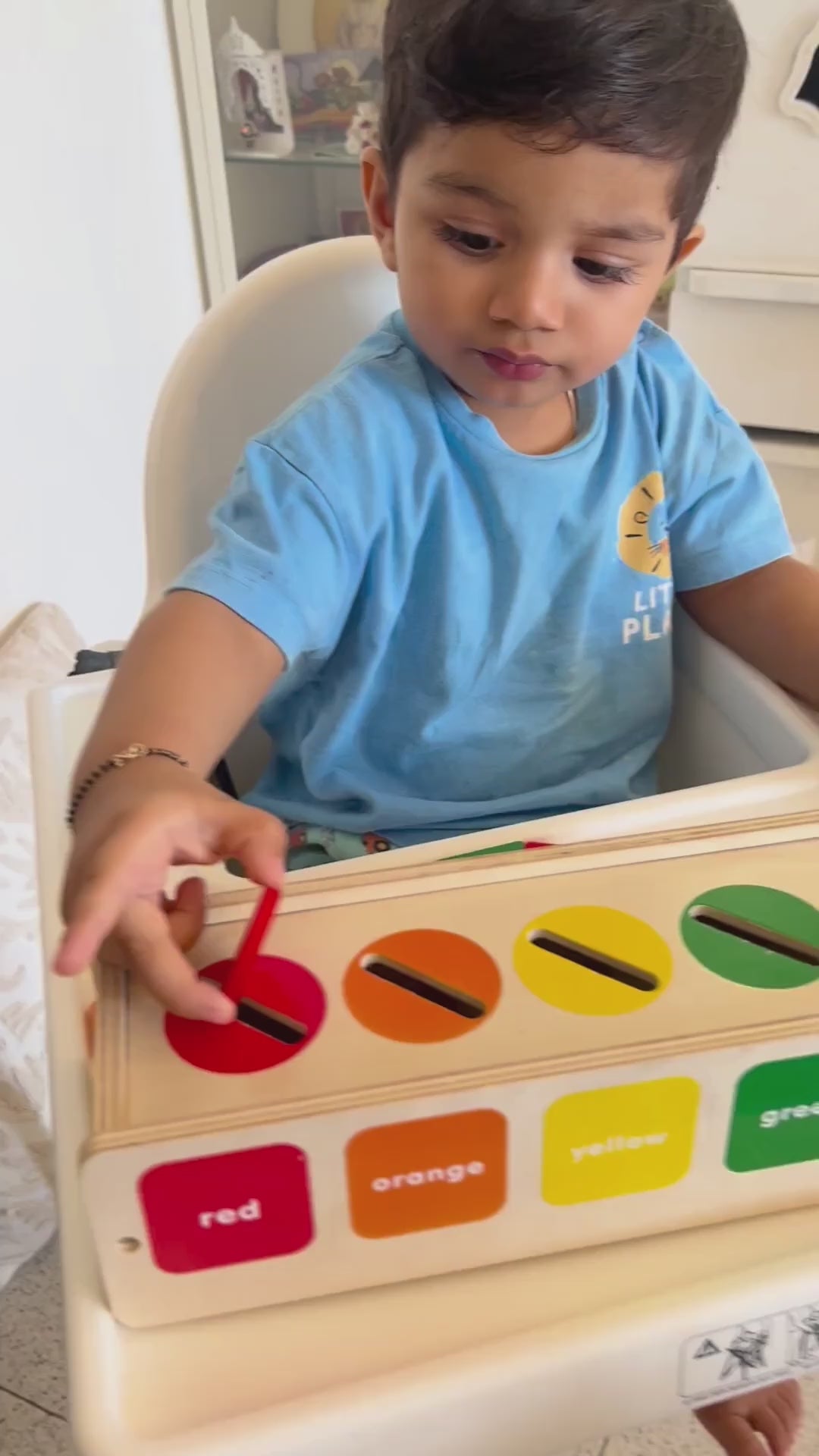 Sort-em-Out Sorting Toy